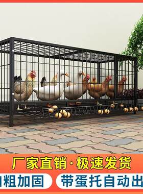 鸡笼子家用大号兔笼养殖鸭鹅鸽笼室外铁丝网不锈钢猫自动滚蛋鸡笼
