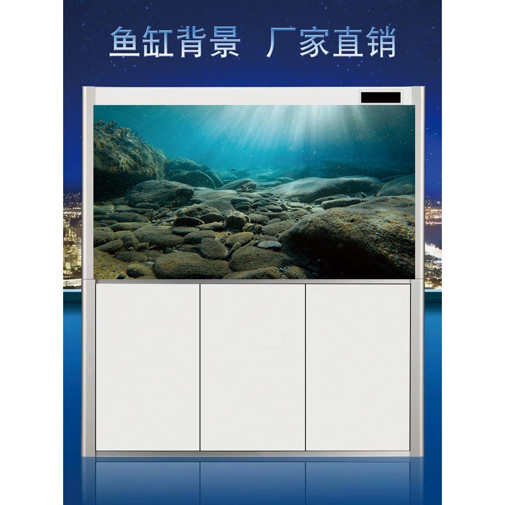 水族箱高清图鱼缸贴纸【热带雨林】壁纸造景装饰海景定制