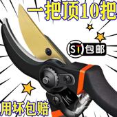 新款 工艺SK5修枝剪园艺剪树枝专用剪刀花艺剪花剪树剪子果树花木