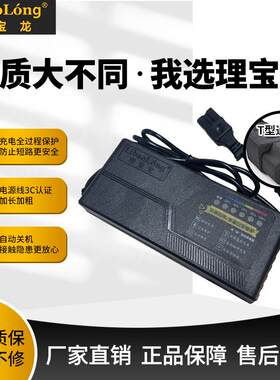 理宝龙原装充电器自动断电六灯显示电动车电瓶车智能充电器48V60V