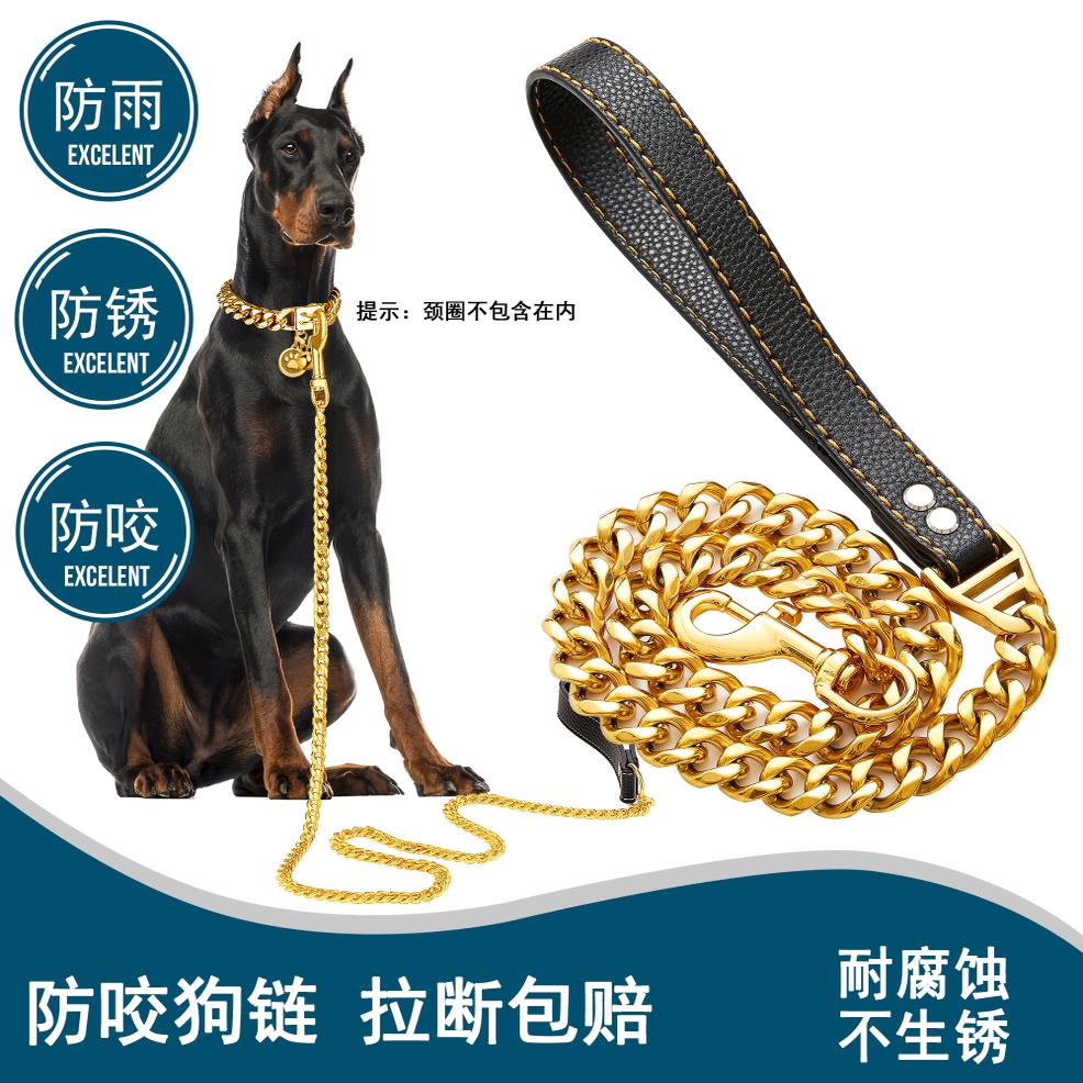 19MM金属金色链条防咬牵引绳,带皮革挽手,适用于大、中、小型狗