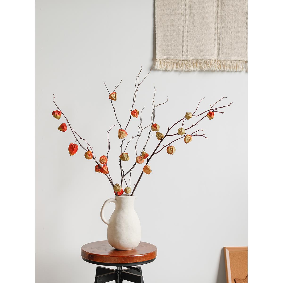 酸浆果干花花束真花天然桦树枝装饰摆件玄关客厅插花艺术干枝造型