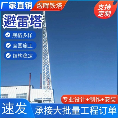 避雷塔25米抗风抗震防雷塔风力发电避雷针古建筑防雷假树避雷塔