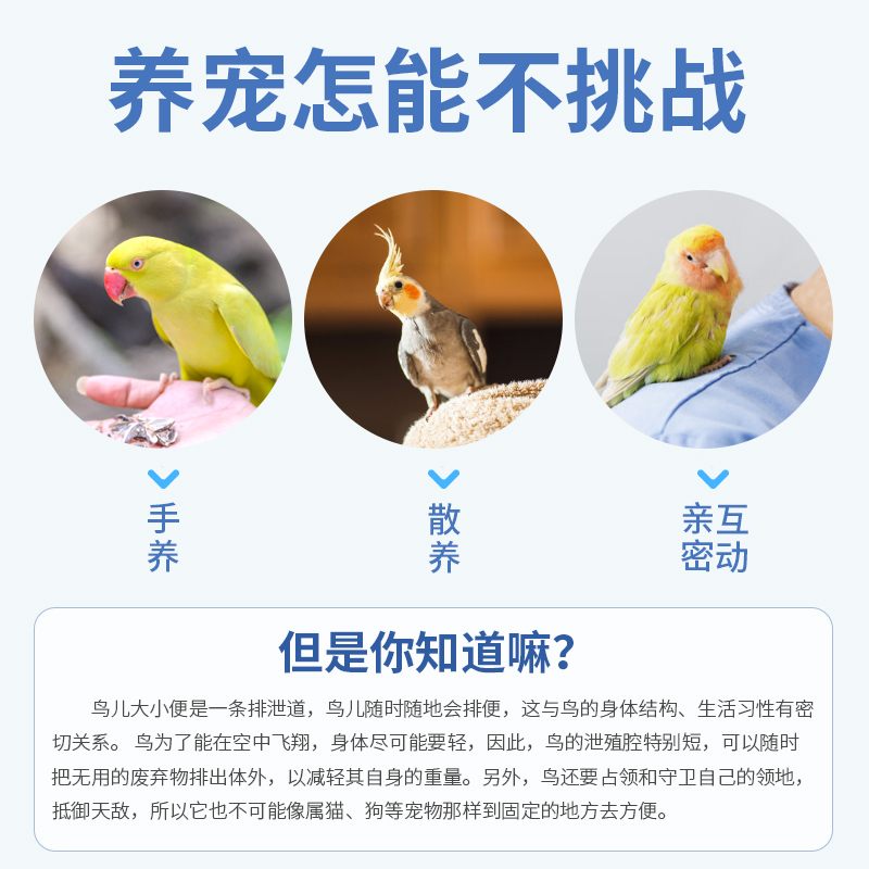 鹦鹉衣服屎兜可洗宠物小鸟类玄凤飞行带放飞绳超轻可爱尿不湿粪兜