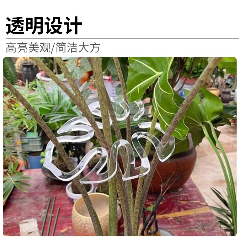 龟背竹固定器植物支撑杆防倒伏春雨支架收拢器绿植物水培枝干