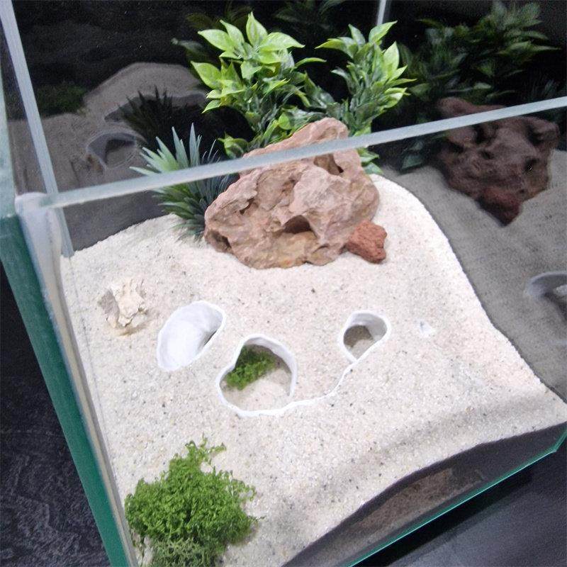 爬行动物宠物洞穴景观小鱼虾蟹龟蜥蜴蛇庇护屋繁殖室鱼缸水族馆沉,宠物/宠物食品及用品,造景/装饰,淘宝优惠券,粉丝福利购,淘宝优惠卷