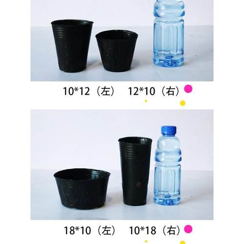 营养钵树苗种植营养袋育苗钵营养杯一次性黑色塑料软花盆简易加厚