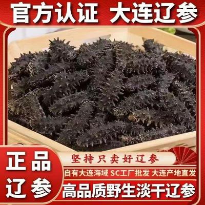 大连野生拉缸盐厂家长岛半干 干海参非即食海参干 干货孕妇级特价