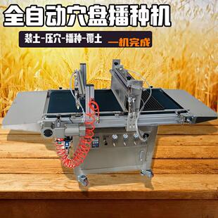 全自动穴盘育苗播种机 农用果蔬花卉点种机育苗盘压穴装土点播机