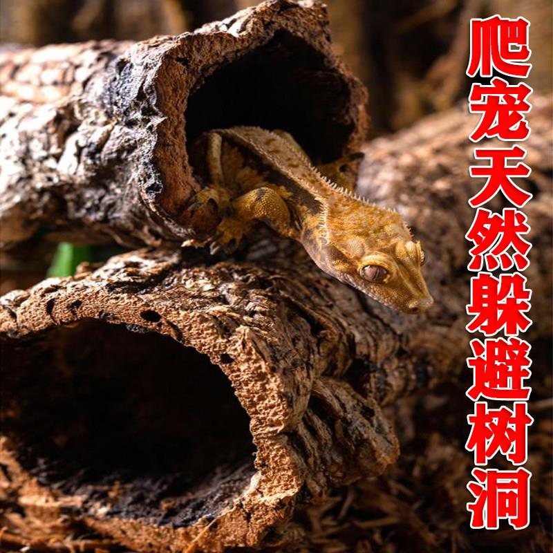 躲避树洞葡萄牙软木洞穴睫角巨人守宫鬃狮蜥蜴爬宠缸造景香槟树蛙
