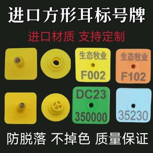 进口猪用方形耳标号牌小猪方耳牌羊用耳标种猪耳标牌方形羊耳号牌