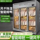 尚诺方舟风干柜商用智能烤鸭烧鹅烧腊晾胚柜风冷保鲜风干晾鸭柜