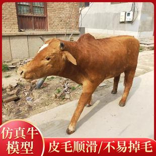 彷真动物黄牛模型西门塔尔牛装饰标本庭院耕地牛水牛大型风景区摆