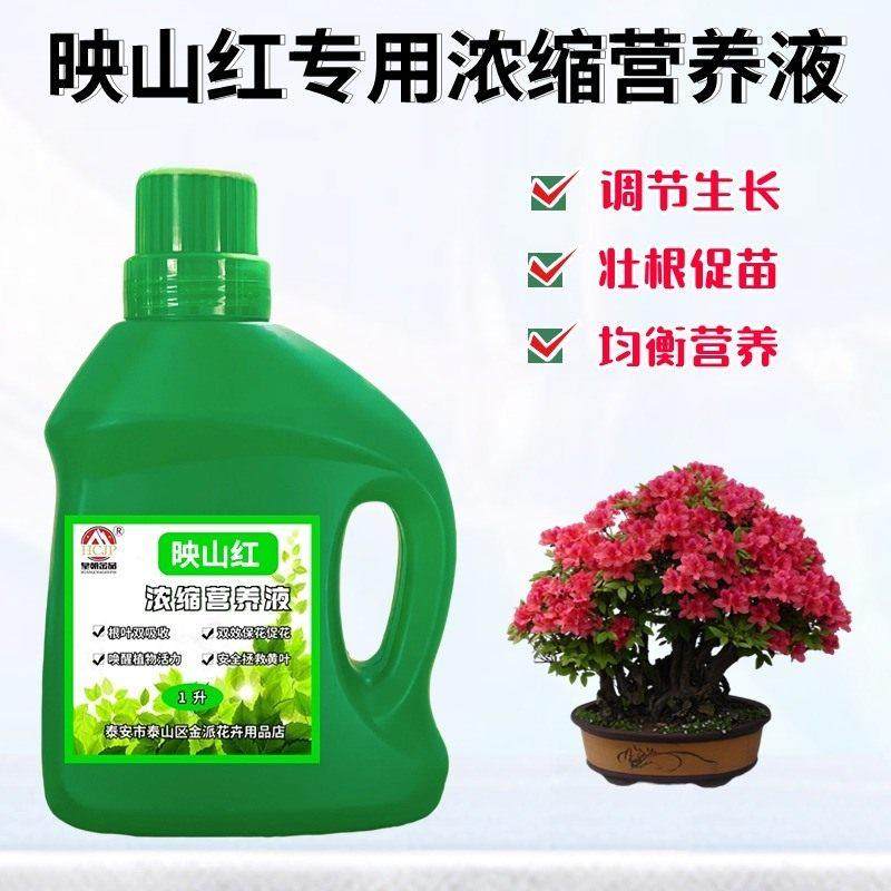映山红专用浓缩营养液家用盆景栽绿植物开 花通用氮磷钾养花卉肥,鲜花速递/花卉仿真/绿植园艺,家庭园艺肥料,淘宝优惠券,粉丝福利购,淘宝优惠卷