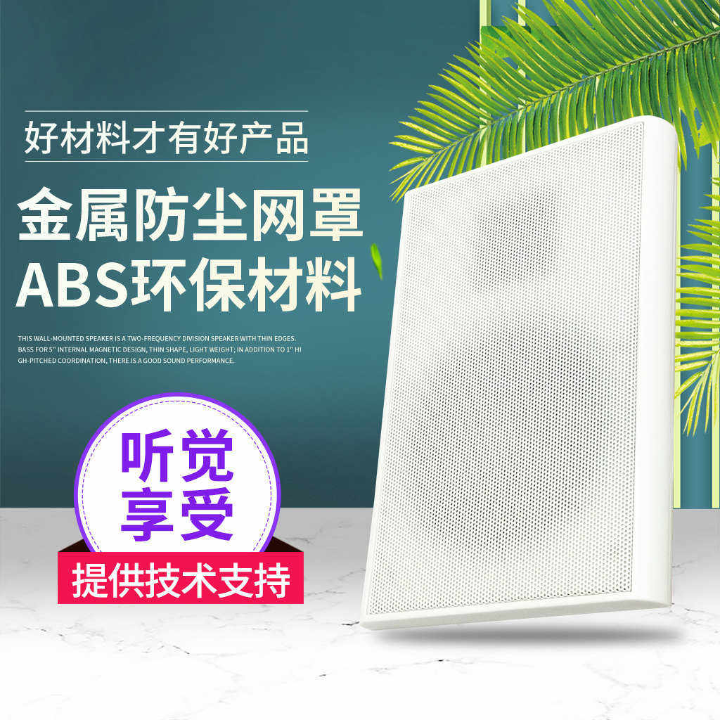 10W薄边型广播壁挂音箱/超市餐厅教室家居背景音乐定压/定阻喇叭