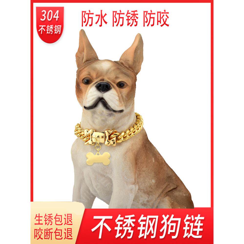 狗项圈牵引绳不锈钢刻字狗炼金色宠物中型犬中大型犬恶霸遛狗项炼