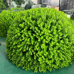 户外绿植井盖遮挡装饰品绿植球彷真绿色植物尤加利草球装饰米兰草