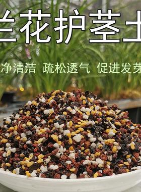 兰花护茎土护心土铺面土颗粒植料兰花土干净疏松植金石绿植花卉