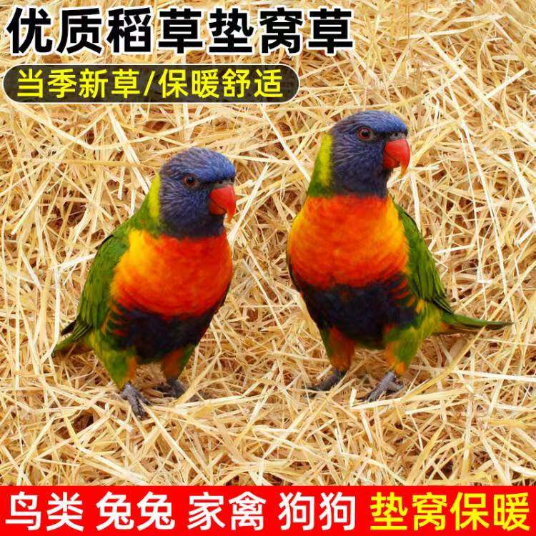 新稻草天然宠物鸡窝草鸟窝垫料鹦鹉窝繁殖箱兔子鸡鸭鹅鸽子过冬草,鲜花速递/花卉仿真/绿植园艺,打草绳等其他绳子,淘宝优惠券,粉丝福利购,淘宝优惠卷