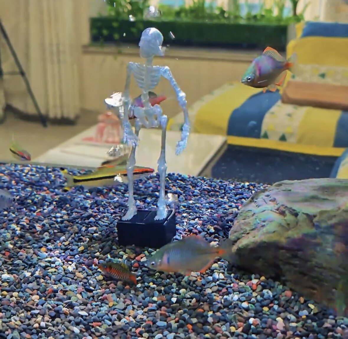 创意水舞骷髅头鱼缸造景摆件无动力跳舞摇摆骷髅装饰可动打氧