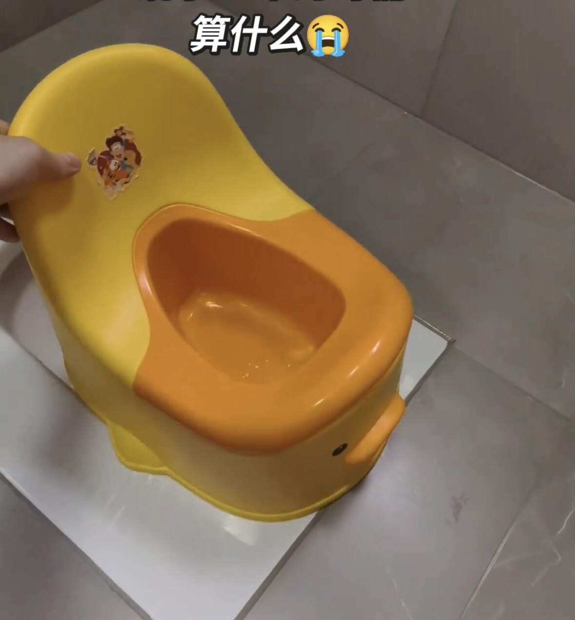 新品坐便器塑料幼儿卡通坐便器男女宝宝坐便椅小孩尿桶小尿便盆