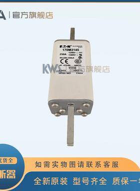 快速熔断器保险丝170M3144 170M3145 170M3146 170M3147 170M3148