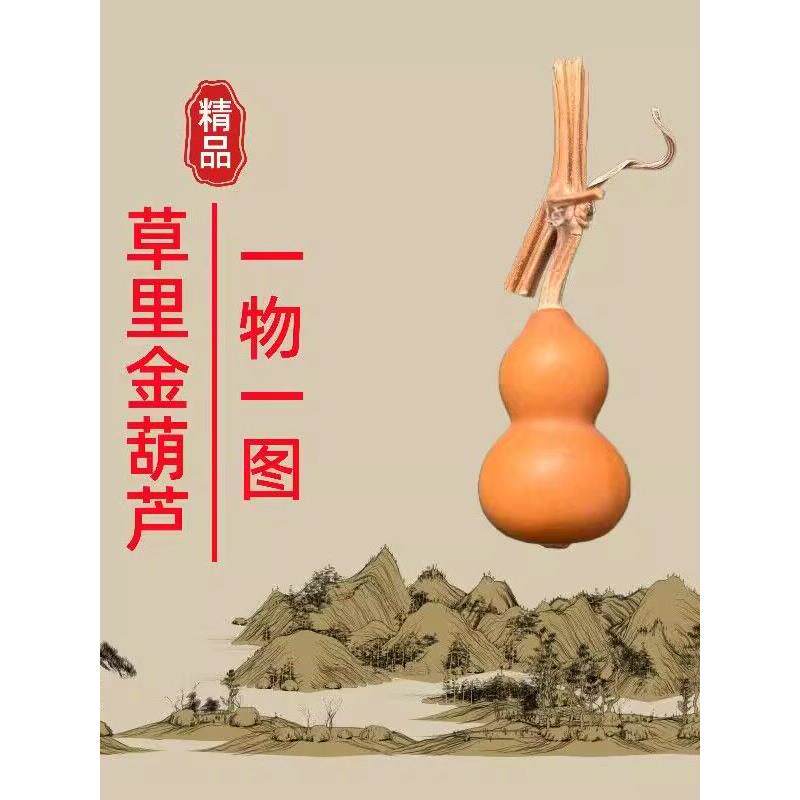 天然精品草里金小葫芦一物一图文玩小葫芦手捻葫芦手把件盘玩爆品