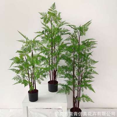仿真蕨树植物盆栽室外室内绿植摆件 现家居酒店装饰仿真马尾厥