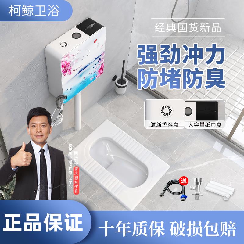 家用陶瓷蹲便器蹲坑式冲水箱整套装大便器化妆室防臭便盆便池蹲厕