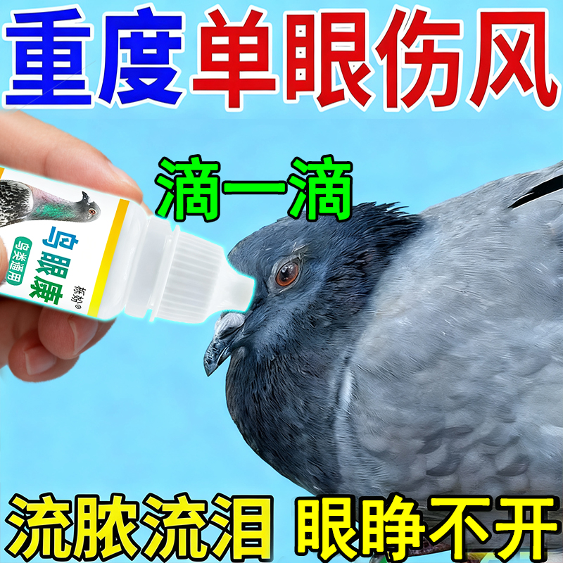 鸽子单眼伤风眼流泪肿胀闭眼流泪信鸽赛鸽幼鸽专用滴眼液