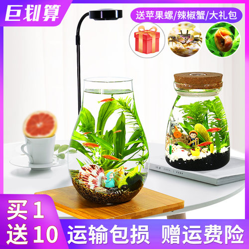 带LED灯迷你水族箱创意diy生态瓶鱼微K景观办公桌面小型玻璃鱼缸