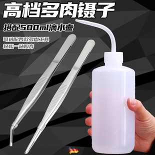 铲子园艺夹子一整套 配套水壶 不k锈钢加厚镊子多肉工具套装
