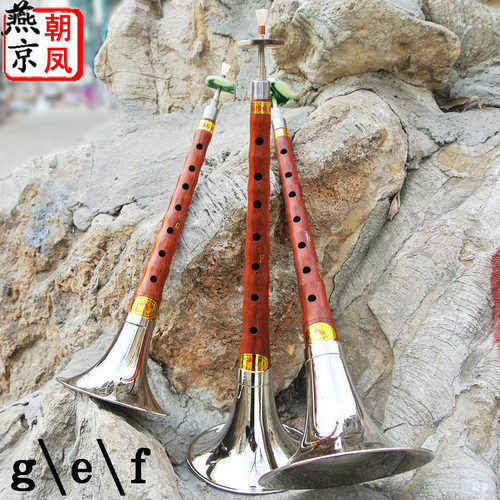 唢呐乐器燕京厂家直销儿童唢呐初学花E梨木高音g,f,e调喜庆小唢呐