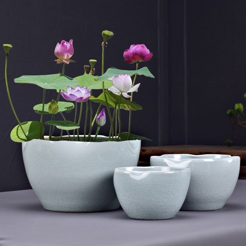 哥窑无孔陶瓷水培器皿水养植物睡莲碗莲I荷花盆金鱼缸特大号家用