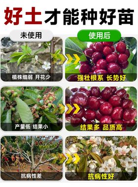 车厘子专用土营养土种果树樱桃树D专用土泥土种植土树苗专用肥料