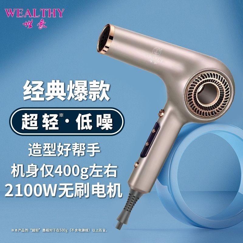 世豪R500吹风机专业静音吹风机吹头发神器理髲店发型师专用大功率