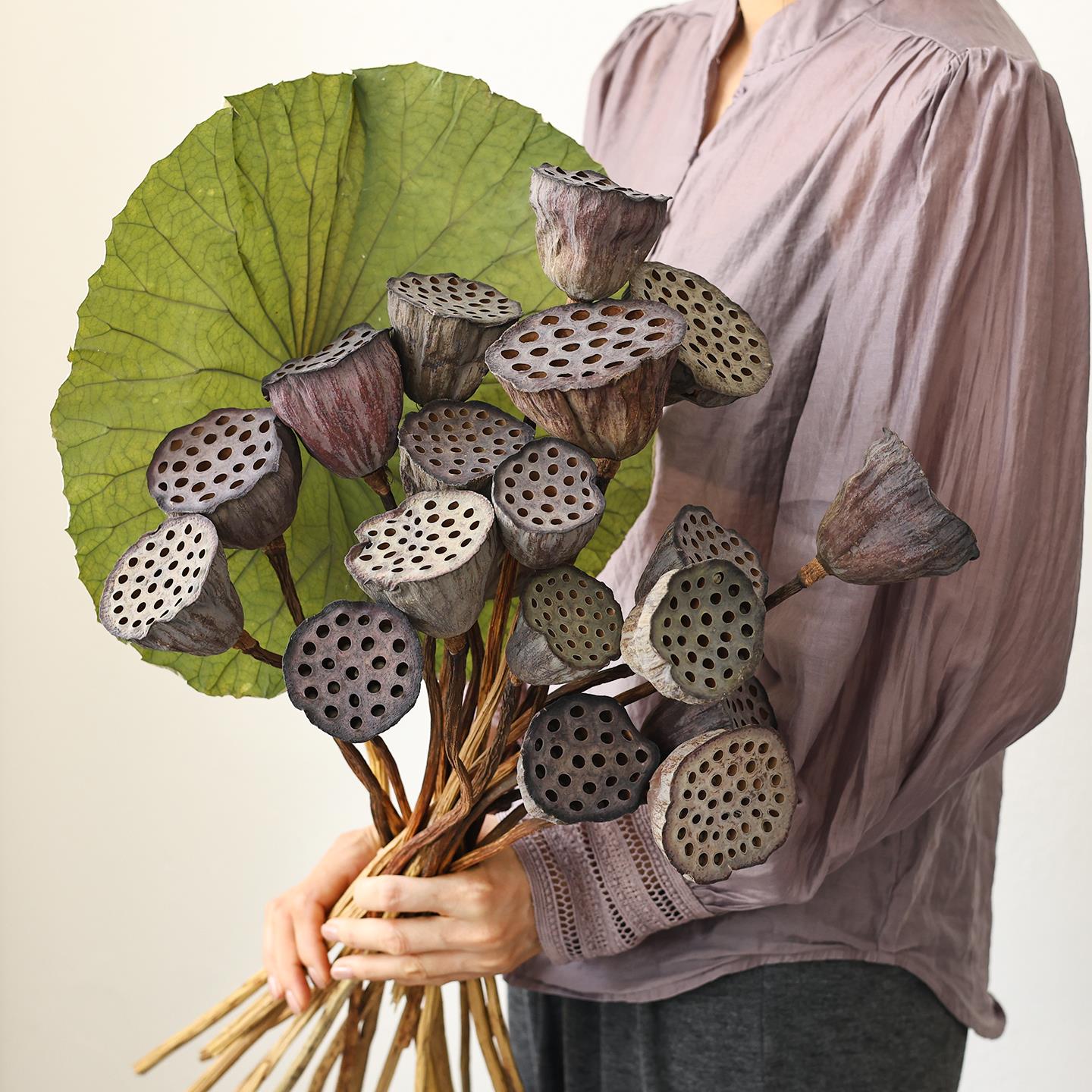 莲蓬荷叶干 干燥花花束客厅摆设植物树枝装饰摆饰插花干 干燥树枝