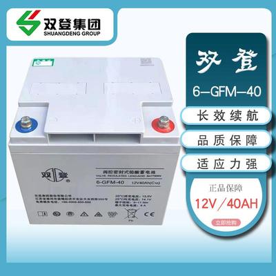 双登12V铅酸蓄电池6-GFM-100AH40AH65AH200AH150AH机房基站消防
