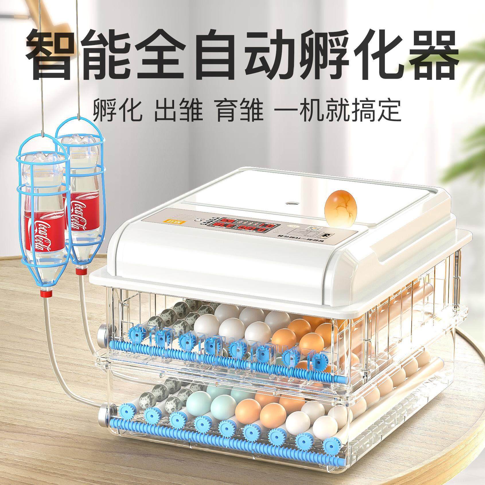 孵化器小型家用孵化箱孵化机小鸡鸭鹅全自动智能芦丁鸡鹦鹉孵蛋器