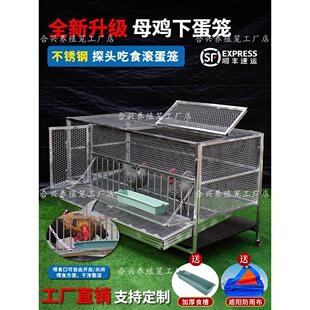 不锈钢自动出蛋大号滚蛋鸡笼防鸡啄蛋家用母鸡下蛋笼室外防黄鼠狼
