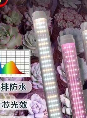 T20LED植物灯管 花卉上色加UV多肉补光灯水培蔬菜花架 植物生长灯