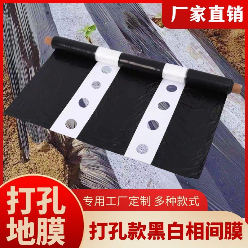 带孔农用加厚黑白相间地膜单道白双道白种地种菜大棚保温保湿除草