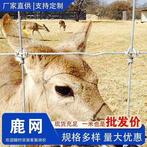 铁丝网围栏养殖网镀锌养鹿网栅栏防护网防锈牛栏网果园围栏护栏网