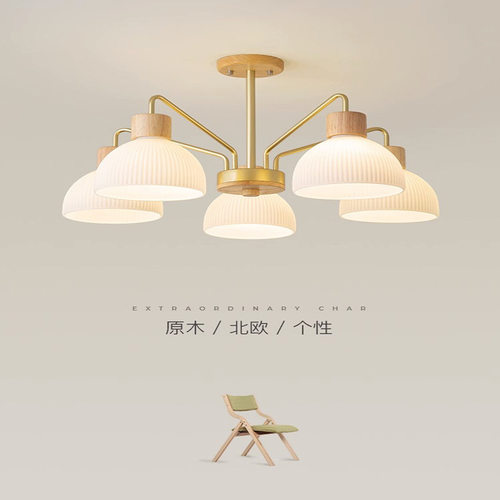 客厅吊灯新款北欧创意个性餐