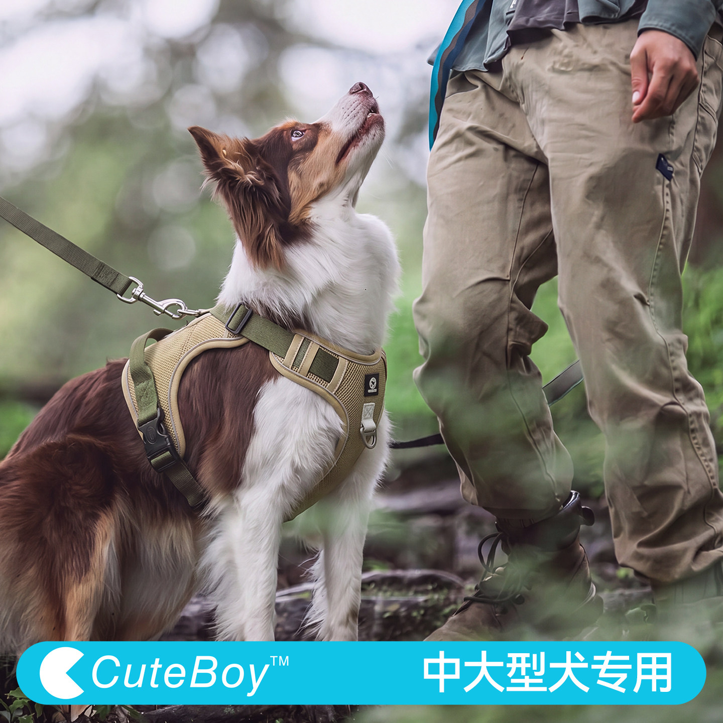 狗狗胸背大中型犬防爆冲胸背带图片