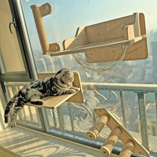 窗户悬挂式猫爬架墙壁式小户型猫咪吊床不占地吸盘猫跳台猫窝