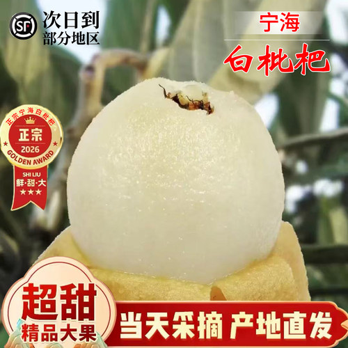 【顺丰包邮】正宗宁海白沙枇杷当季新鲜白玉琵琶水果孕妇应季礼盒
