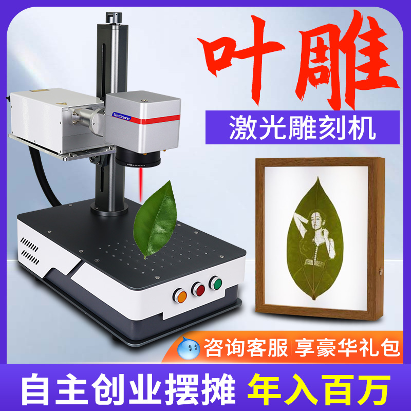 树叶激光雕刻机金属铭牌紫外激光雕刻机可乐打印照片激光打标机