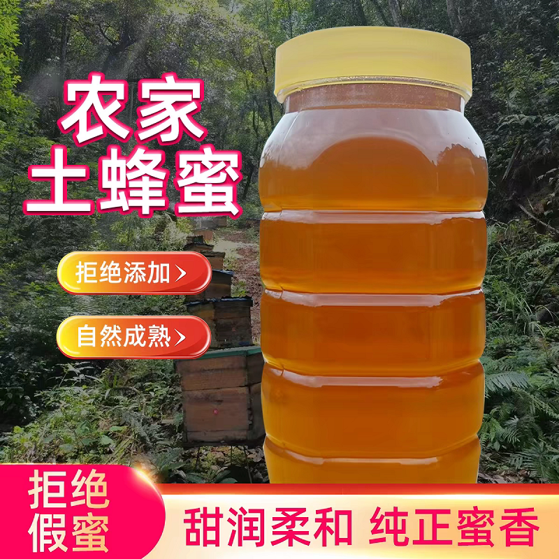 土蜂蜜纯正天然正宗龙眼蜜农家自产无添加不喂糖百花蜜野生峰蜜