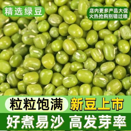 东北正宗新品绿豆农家可发芽豆子熬粥杂粮易煮出沙绿豆粥汤绿豆糕